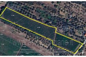 Terreno Agricolo Lanciano [A4344518]