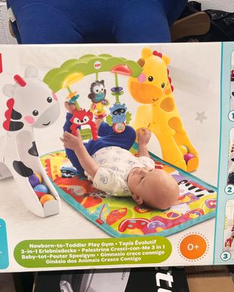 Palestrina fisher price