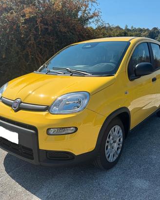 Fiat Panda 1.0 FireFly S&S Hybrid Pandina- 1.516 K