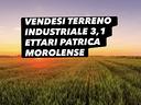 terreno-industriale-3-1-ettari-patrica-morolense
