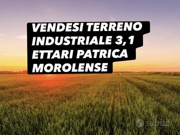TERRENO INDUSTRIALE 3,1 ETTARI PATRICA MOROLENSE