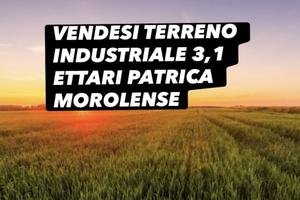 TERRENO INDUSTRIALE 3,1 ETTARI PATRICA MOROLENSE