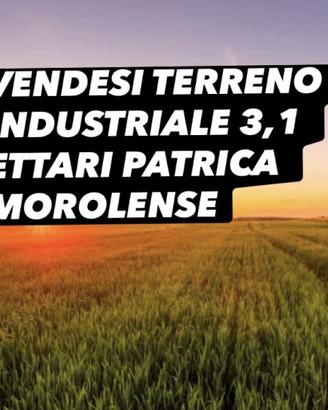 TERRENO INDUSTRIALE 3,1 ETTARI PATRICA MOROLENSE