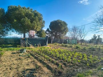 Terreno agricolo