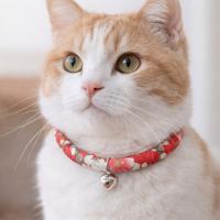 collare per gatto/cane in cotone tubolare giappone