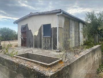 Bertolino: 65 mq da ristrutturare oltre terreno 51