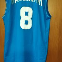 MAGLIA NAZIONALE DANILO GALLINARI