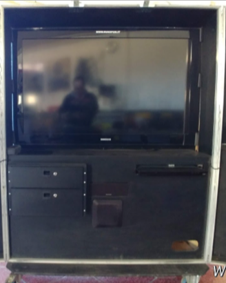 TV SAMSUNG con mobile fly case