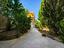 Immagine 24