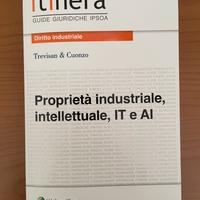 Proprietà industriale intellettuale, IT e Al Ipsoa