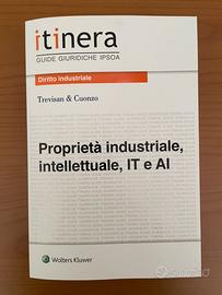 Proprietà industriale intellettuale, IT e Al Ipsoa