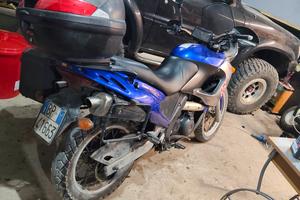 pegaso 650 iniezione