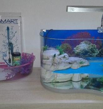 Tartarughiera completa