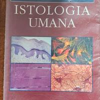 Istologia, Bani, idelson gnocchi