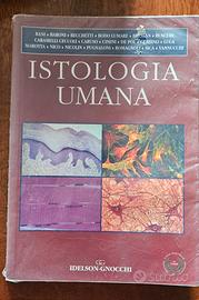Istologia, Bani, idelson gnocchi