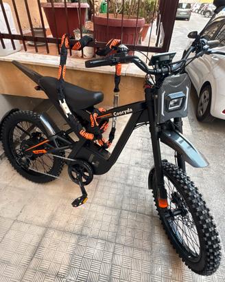 Bicicletta elettrica
