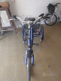 Bici e-Bike a Tre Ruote Misura 20 Cambio 6V e-TR20