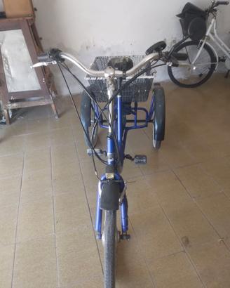 Bici e-Bike a Tre Ruote Misura 20 Cambio 6V e-TR20