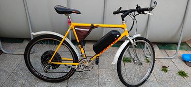 bici elettrica 
