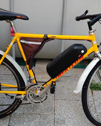 bici elettrica 