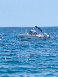 ranieri pathfinder 19 +Honda 100 Hp