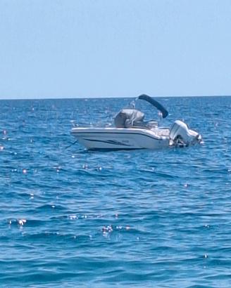 ranieri pathfinder 19 +Honda 100 Hp
