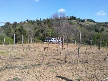 Terreno uso vigna orto