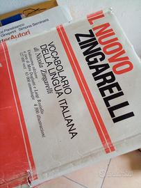 vocabolario di italiano e libri scolastici usati 