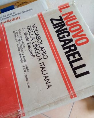 vocabolario di italiano e libri scolastici usati 