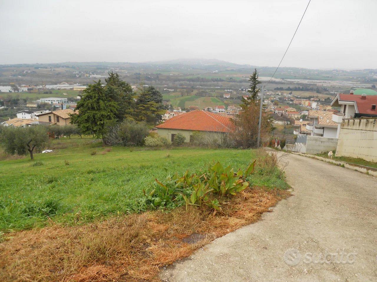 TERRENO AGRICOLO - Vista 2