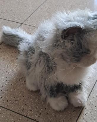 peluche gatto interattivo 