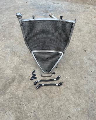 Radiatore Febur  mv f3  agusta
