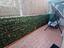 Immagine 22