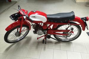 moto guzzi cardellino