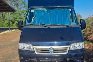 Van trasporto 2 cavalli patente B