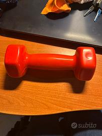 Manubri da palestra