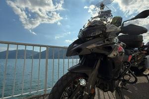 Trk  502x 2019
