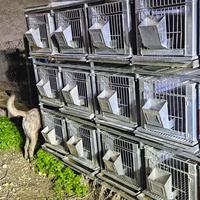 gabbia per conigli e piccoli animali 