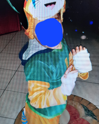 Costume carnevale 44 gatti lampo