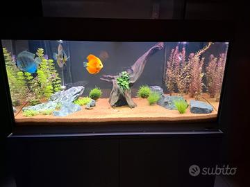 Acquario Ferplast 190L