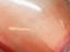 Immagine 9