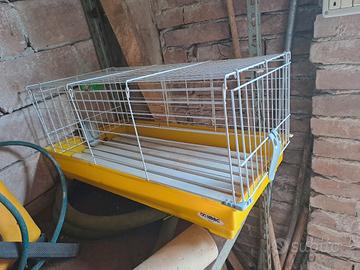 Gabbia per coniglio 