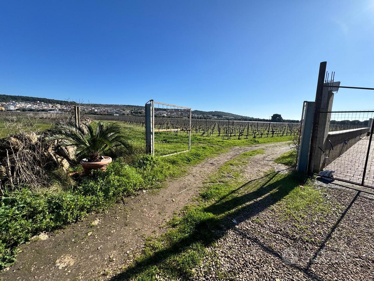 Faggiano terreno agricolo di circa 12 ettari - Vista 3