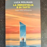 Libro 'La meraviglia è di tutti' Luca Molinari