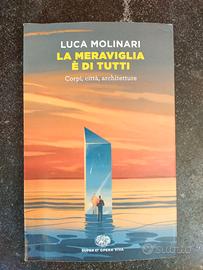 Libro 'La meraviglia è di tutti' Luca Molinari