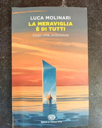Libro 'La meraviglia è di tutti' Luca Molinari