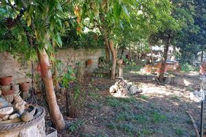 Appartamento Massarosa [UL134MGFRVRG]