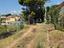 Immagine 17