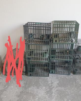 stock 10 trasportini uccelli- gabbiette vintage 