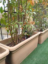 fioriere per giardino 